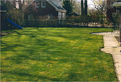 Lawn Sod Installation: Backyard Install/Patio