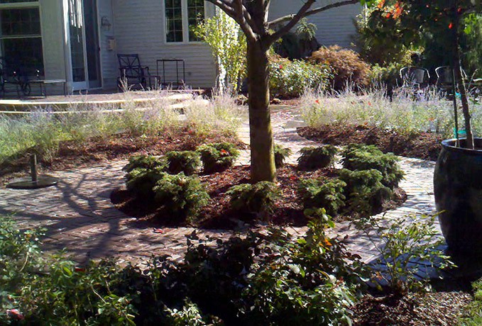 Landscape Yard Makeover: Backyard Renovation