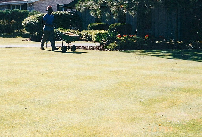 Other Service Specialities: Bent Lawn Install/Putting Green
